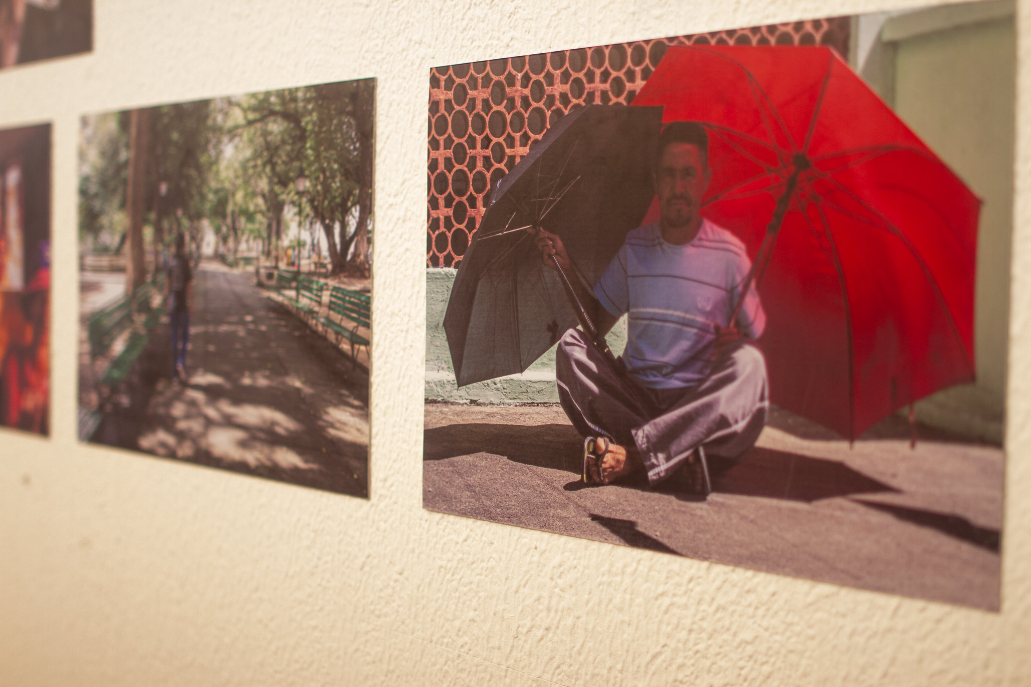 54826417658 33dc23c260 k