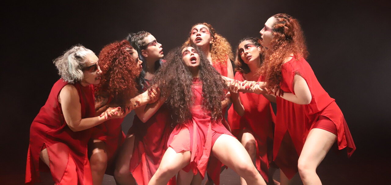 Copia de IMG 8617 Easy Resize.com e1774366156835